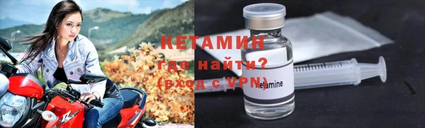 крисы Алексин