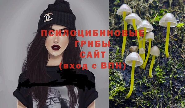 крисы Алексин