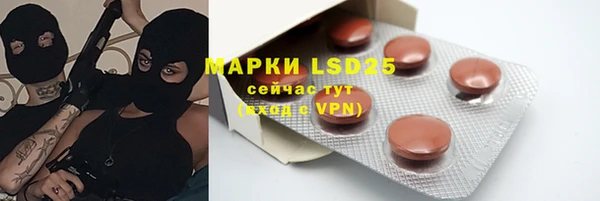 крисы Алексин