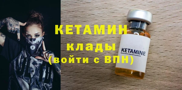 крисы Алексин