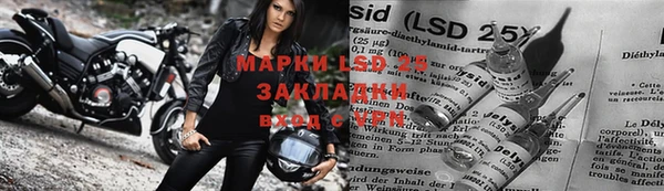 крисы Алексин