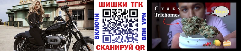 Канабис гибрид  omg ссылка  Качканар 